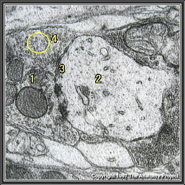 %_tempFileNameN1A1P14%