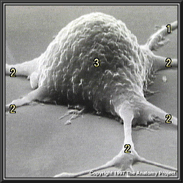 %_tempFileNameN1A1P4%