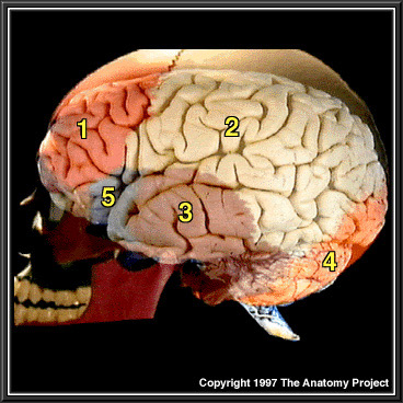 %_tempFileNameN1A2P7%