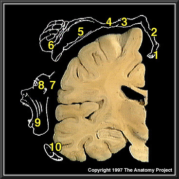 %_tempFileNameN1A3P10%