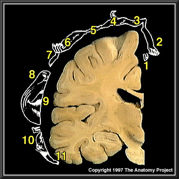 %_tempFileNameN1A3P11%