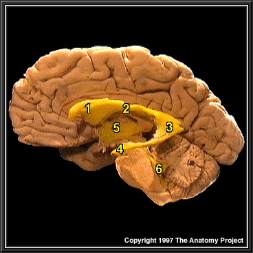 %_tempFileNameN1A4P1%