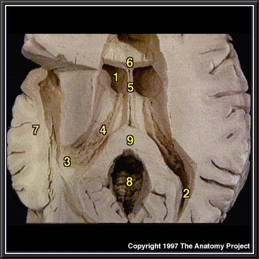 %_tempFileNameN1A4P5%