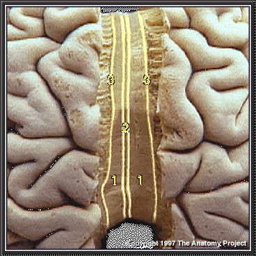 %_tempFileNameN1A5P10%