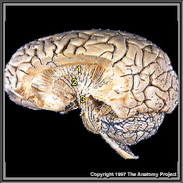 %_tempFileNameN1A5P3%