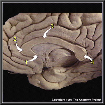 %_tempFileNameN1A5P4%