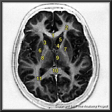 %_tempFileNameN1A5P7%