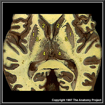 %_tempFileNameN1A6P4%
