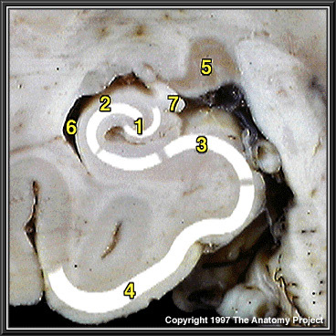 %_tempFileNameN1A7P4%