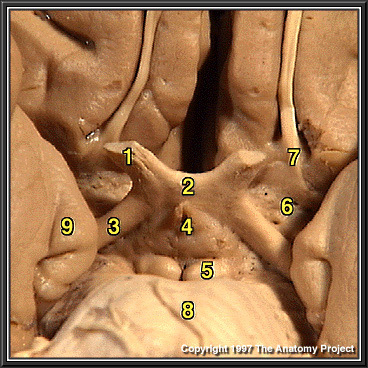 %_tempFileNameN1A8P1%