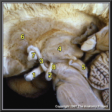%_tempFileNameN1A8P3%