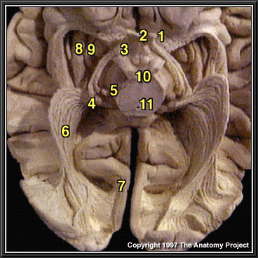 %_tempFileNameN1A8P4%