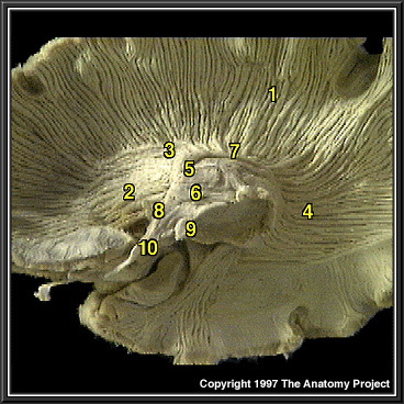 %_tempFileNameN1A8P5%