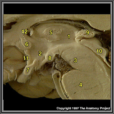 %_tempFileNameN1A8P6%