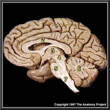 %_tempFileNameN2A1P1%