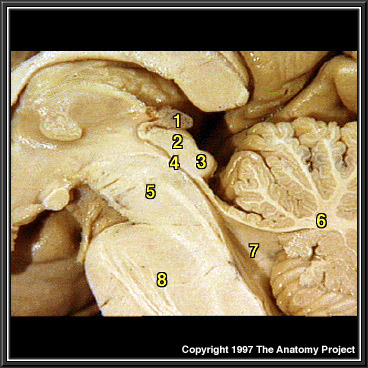 %_tempFileNameN2A1P2%