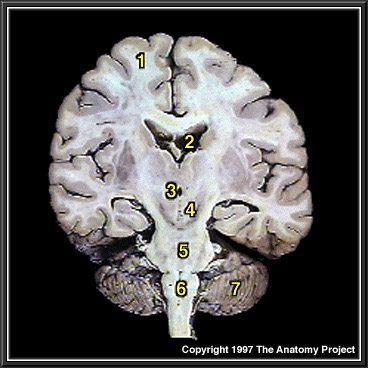 %_tempFileNameN2A1P3%