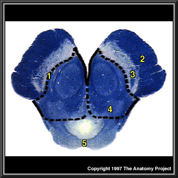 %_tempFileNameN2A1P5%