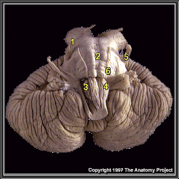 %_tempFileNameN2A2P2%