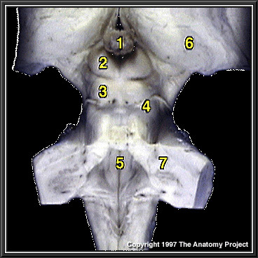 %_tempFileNameN2A2P3%