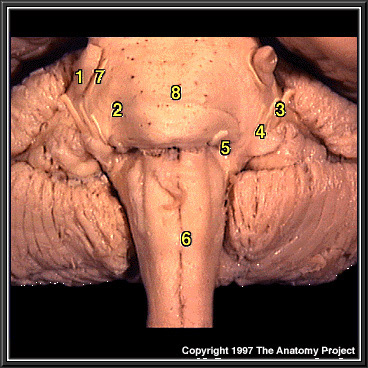 %_tempFileNameN2A4P1%