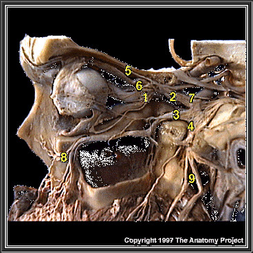 %_tempFileNameN2A4P2%
