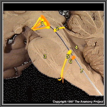 %_tempFileNameN2A4P4%