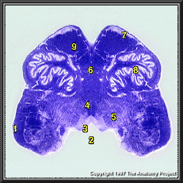 %_tempFileNameN2A5P2%