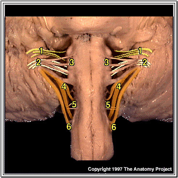 %_tempFileNameN2A6P1%