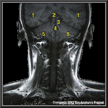 %_tempFileNameN2A7P10%