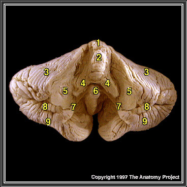 %_tempFileNameN2A7P4%