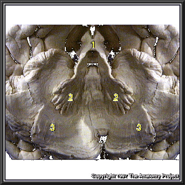 %_tempFileNameN2A7P6%