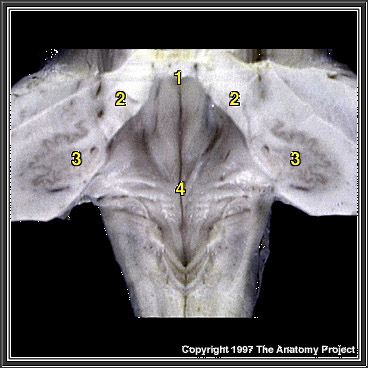 %_tempFileNameN2A7P9%