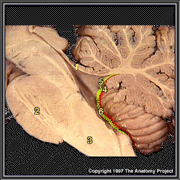 %_tempFileNameN2A8P1%