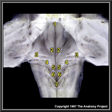 %_tempFileNameN2A8P2%
