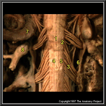 %_tempFileNameN3A2P3%