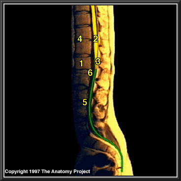 %_tempFileNameN3A2P5%