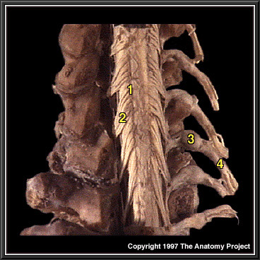 %_tempFileNameN3A5P2%