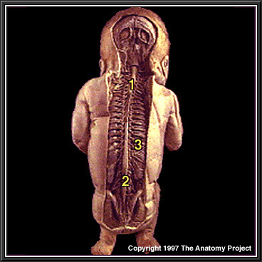 %_tempFileNameN3A5p3%