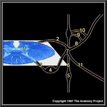 %_tempFileNameN3A6p1%