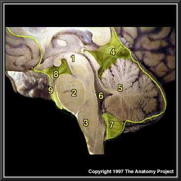 %_tempFileNameN3A7p7%