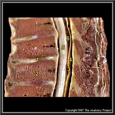 %_tempFileNameN3A7p8%