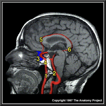 %_tempFileNameN3A8p1%