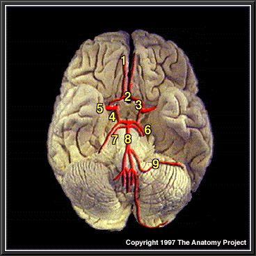 %_tempFileNameN3A8p2%