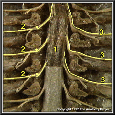 %_tempFileNamen1a1p15%