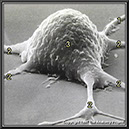 %_tempFileNameN1A1P4%