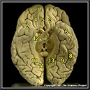 %_tempFileNameN1A2P13%