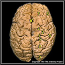 %_tempFileNameN1A2P15%