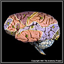 %_tempFileNameN1A2P6%