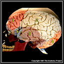 %_tempFileNameN1A2P7%